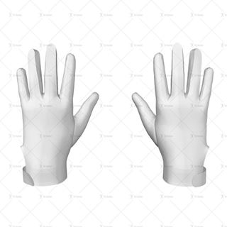 Picture for category 3D Gloves